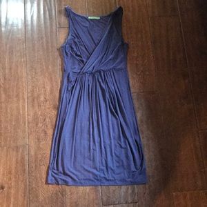 Velvet brand dress